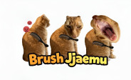 Brush Jjaemu img
