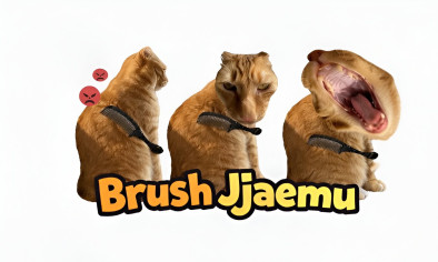 Brush Jjaemu img