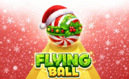 Flying Ball img